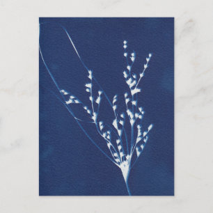 Invitación Postal de arte blanco azul azul para impresión de 