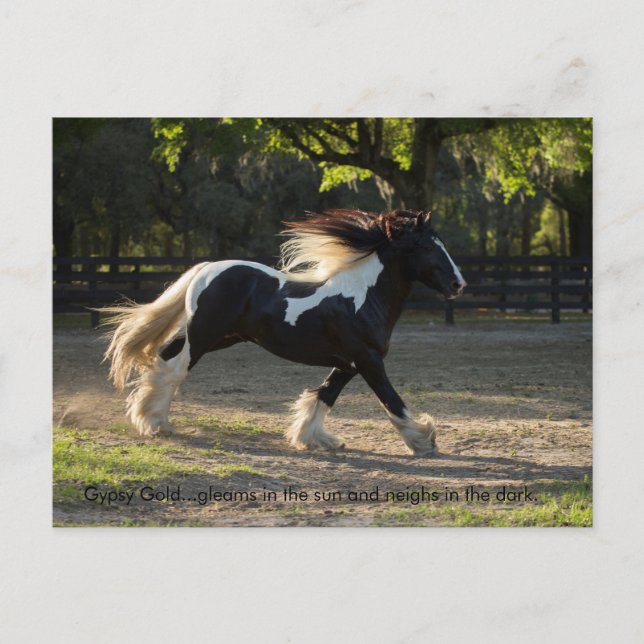 Invitación Postal de la prueba de oro gitano (Anverso)