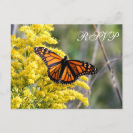 Invitación Postal RSVP de la boda de la mariposa monarca