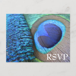 Invitación Postal RSVP de Peacock Feather