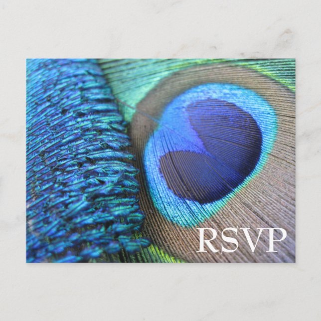 Invitación Postal RSVP de Peacock Feather (Anverso)
