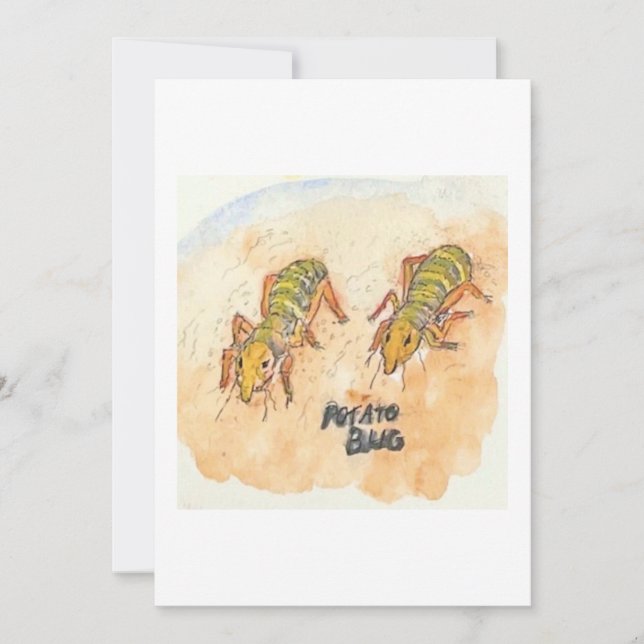 Invitación Potato Bug Greeting Card (Anverso)