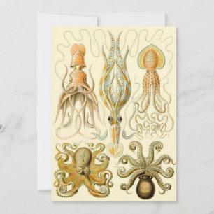 Invitación Poulpo vintage Gamochonia de Ernst Haeckel