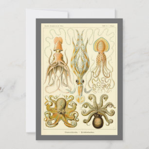 Invitación Poulpo vintage Gamochonia de Ernst Haeckel