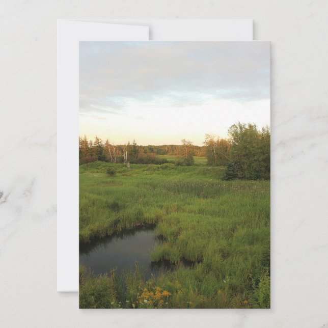 Invitación Prado soleado (Anverso)