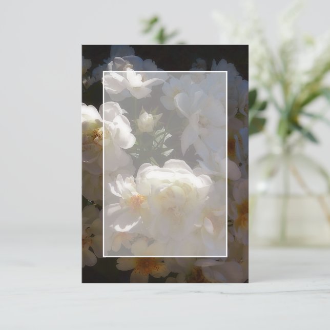 Invitación Presupuesto en blanco boda de rosas blancas (Anverso de pie)