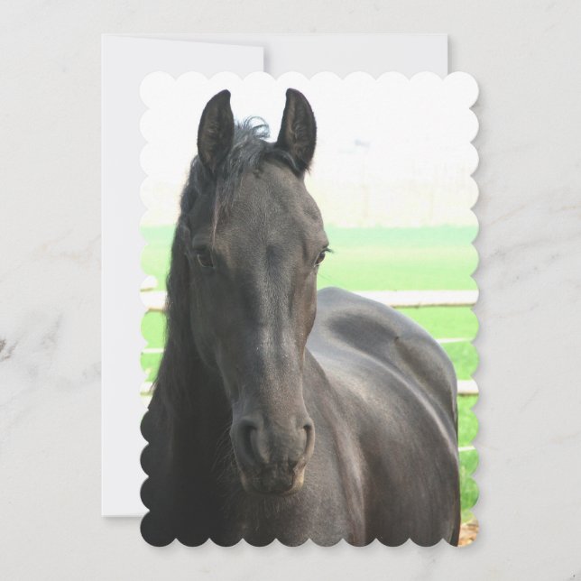 Invitación Producto Personalizar (Anverso)