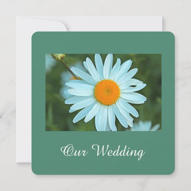 Invitación Pura, hermosa flor blanca de margarita verde azula (Reverso)