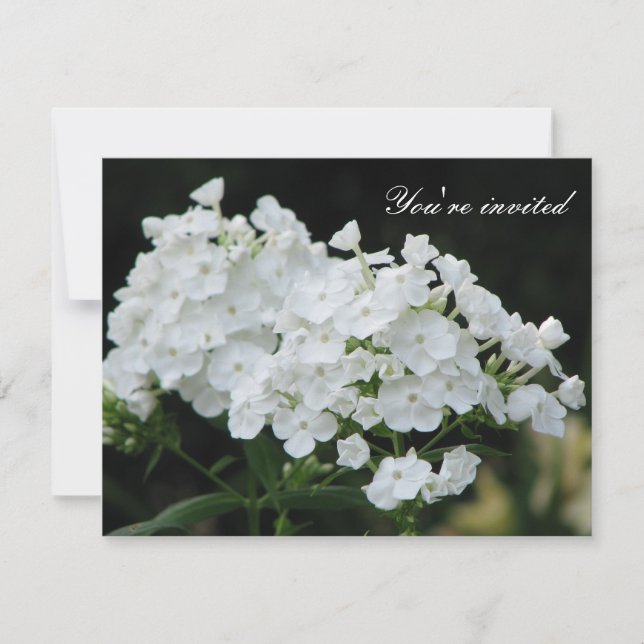 Invitación Pureza (Anverso)