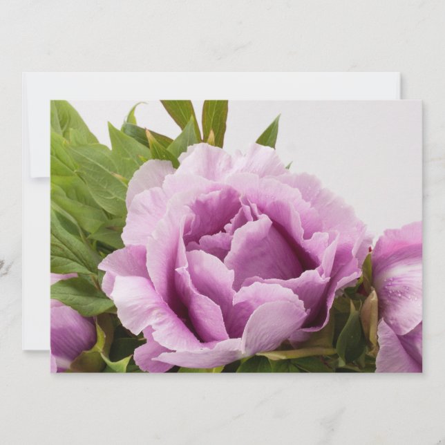 Invitación Purple Peonies Bouquet (Anverso)