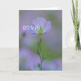 Invitación Púrpura Primrose RSVP