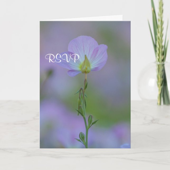 Invitación Púrpura Primrose RSVP (Anverso)