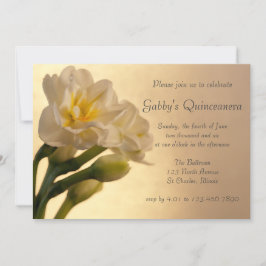 Invitación Quinceanera de Daffodils Dobles Blancos