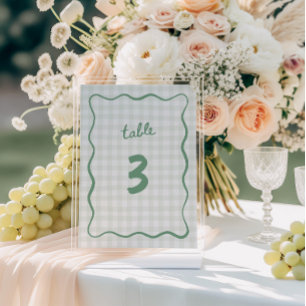 Invitación Quirky Sage Green Gingham