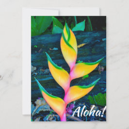 Invitación Rainbow Heliconia, Haena, Kauai, Hawaii