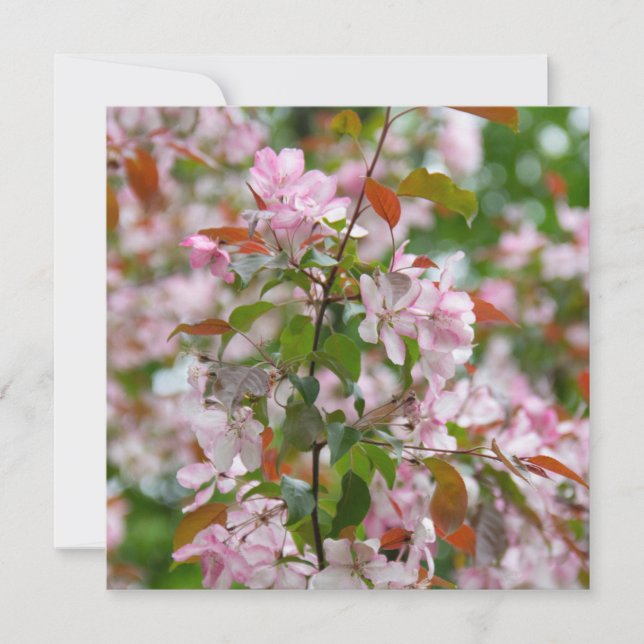Invitación Rama delgada con flores manzana (Anverso)