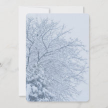 Ramas de árboles nevadas en invierno
