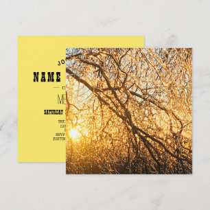 Invitación ramas de carámbano al atardecer