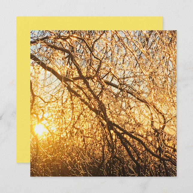 Invitación ramas de hielo al atardecer (Anverso / Reverso)