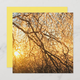 Invitación ramas de hielo al atardecer