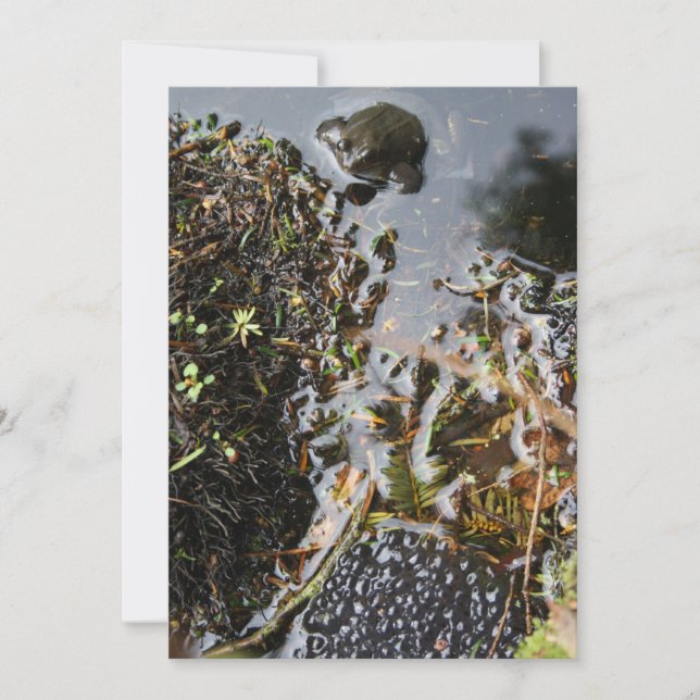 Invitación Rana con sartén de rana (Anverso)