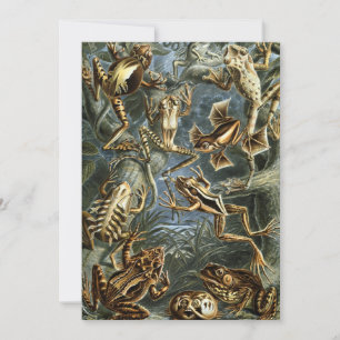 Invitación Ranas y sapos vintage Batrachia de Ernst Haeckel