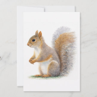 Invitación Realistic Squirrel Portrait
