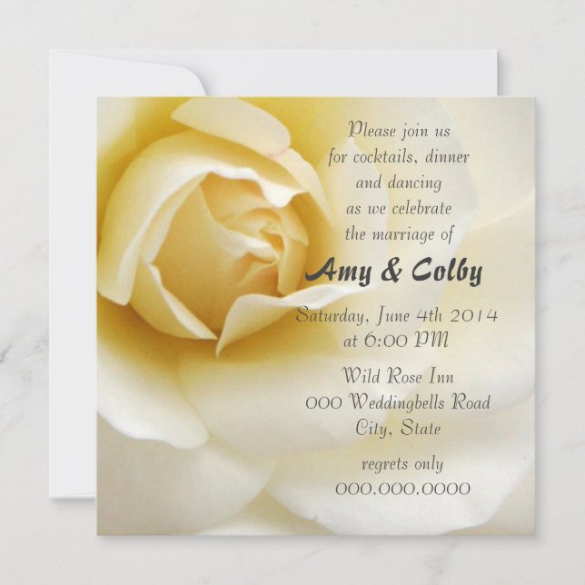 Invitación Recepción de boda de una sola crema de rosa blanca (Anverso)