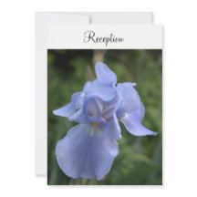 Recepción de Boda Floral Iris Vinca Minor