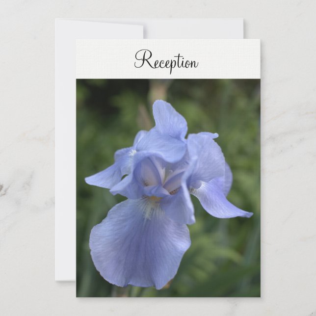 Invitación Recepción de Boda Floral Periwinkle Iris (Anverso)