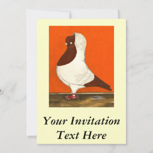 Invitación Red Nun Pigeon