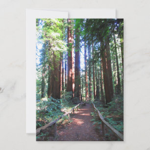 Invitación Redwood Trail Norther California