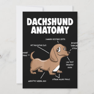 Invitación Regalo de Perro   Anatomía Dachshund Divertido Wie