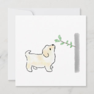 Invitación Regalo para amante de cachorros de crema que olfat