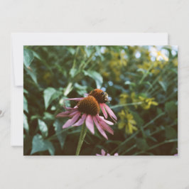 Invitación Reimpresión de foto de abeja y equinácea