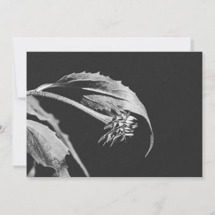 Invitación Reimpresión de foto de flor marchita gótica