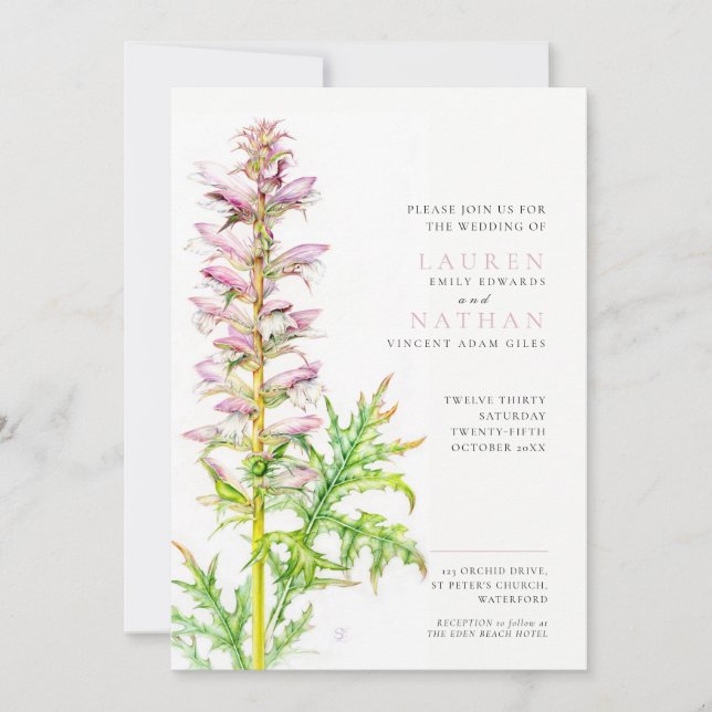 Invitación Respeto de oso Acanthus mollis boda acuarela (Anverso)