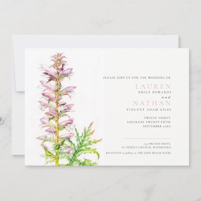 Invitación Respeto de oso Acanthus mollis boda acuarela (Anverso)