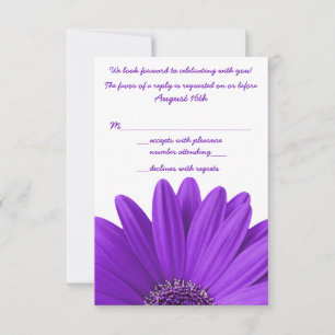 Invitación Respuesta de RSVP a la Purple Gerbera Daisy Weddin