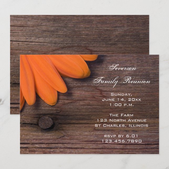 Invitación Reunión familiar de Naranja ruso Daisy Barn Fiesta (Anverso / Reverso)