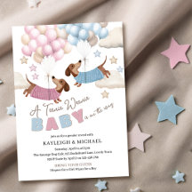 Revelación de género de adorable Dachshund Wiener