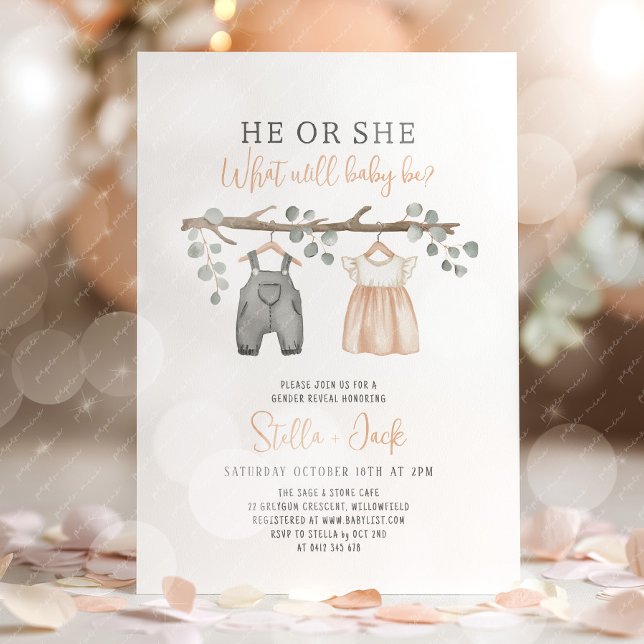 Invitación Revelación de género Él o Ella Colada de ropa  (He or She, What will baby be? Gender Reveal Invitation)