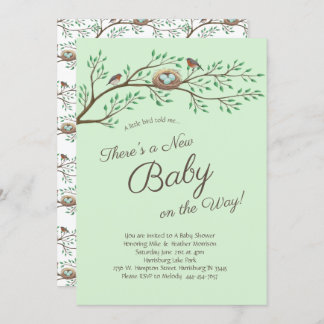 Invitación Robin Bird Spring Baby Shower Co-Ed Gender Neutral