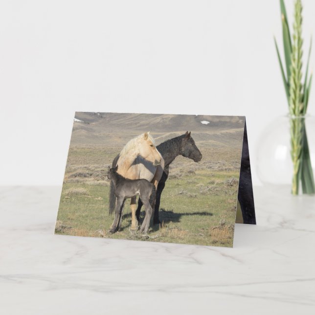 Invitación Rocket's Family Greeting Card (Anverso)