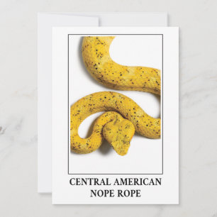 Invitación Rope de la Nova Centroamericana - Peligro de la Ví