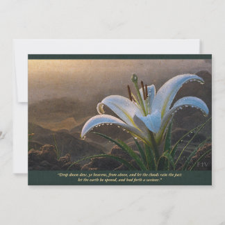 Invitación Rorate Caeli—Destilad rocío, cielos