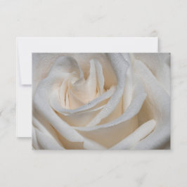 Invitación Rosa blanca 7127 con dew