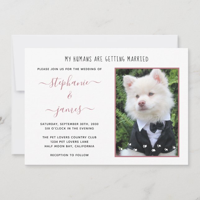 Invitación Rosa de fotografía mascota Humanos de oro se casan (Anverso)