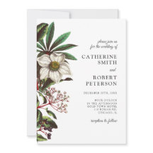 Rosa de Navidades blancos de época moderna