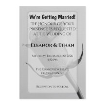 Rosa Minimalista Artística en Blanco y Negro